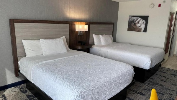 La Quinta Inn & Suites by Wyndham Milwaukee South West New Berlin image 25